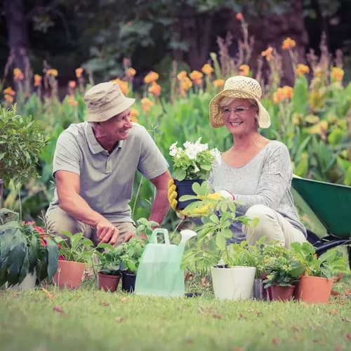 Senior man and woman gardening with many flowerpots .  Homme et femme seniors jardinant avec de nombreux pots de fleurs 