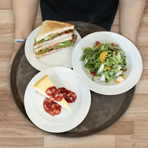 Plate of fresh foods: sandwich, salad and cheesecake / Assiette de produits frais : sandwich, salade et cheesecake