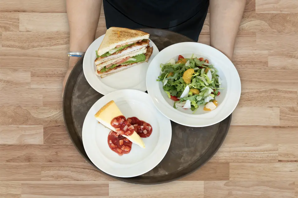 Plate of fresh foods: sandwich, salad and cheesecake / Assiette de produits frais : sandwich, salade et cheesecake