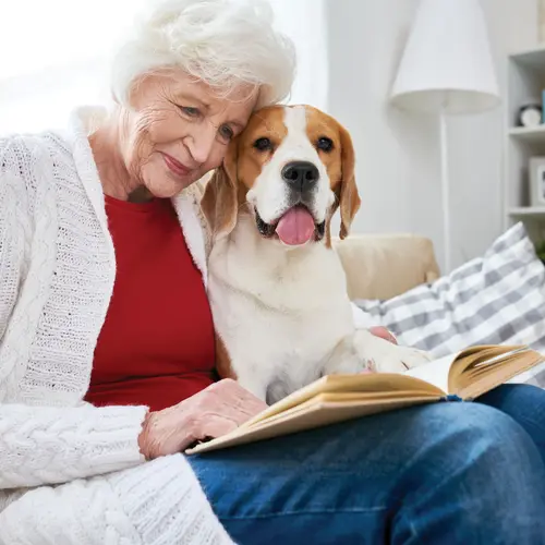 Senior woman reading a book along with her dog / Femme âgée lisant un livre en compagnie de son chien