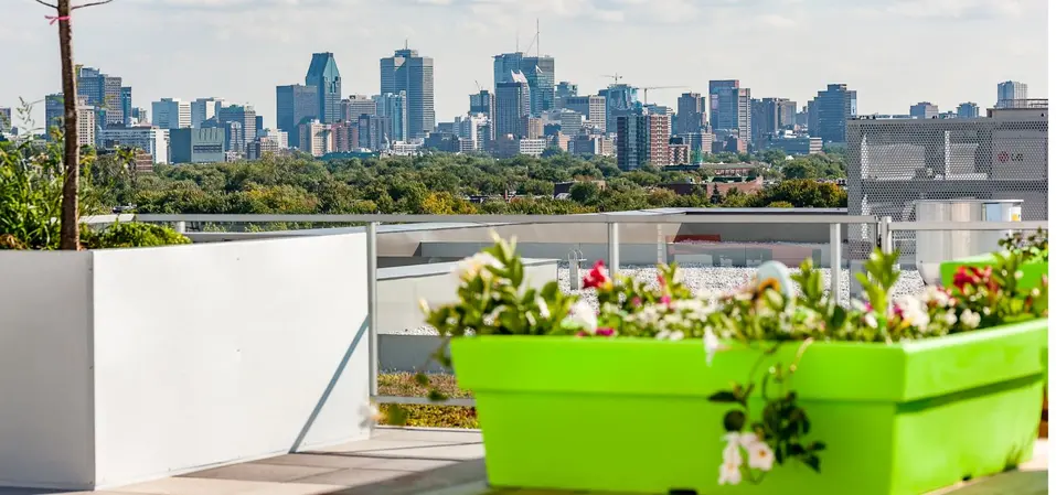 Vue de la ville de Montréal depuis Chartwell Rosemont le Quatiers / View of Montreal city from Chartwell Rosemont le Quatiers