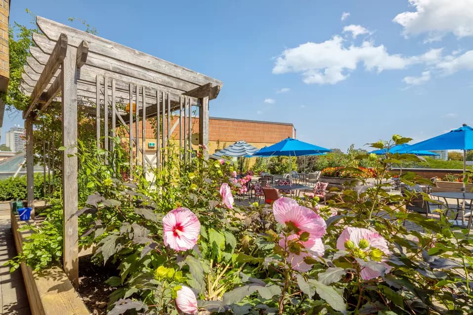 Flowerbeds and parasol tables in the rooftop garden at Chartwell New Edinburgh Square / Parterres de fleurs et tables parasols dans le jardin sur le toit de Chartwell New Edinburgh Square
