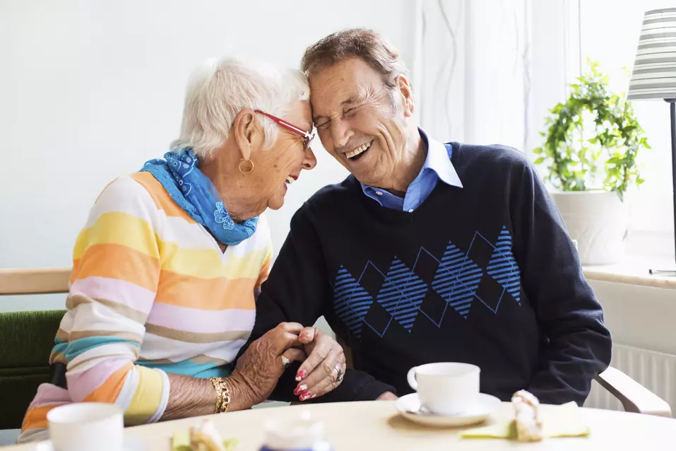 Brightly laughing senior couple on a coffee table / Couple âgé riant joyeusement autour d'une table basse